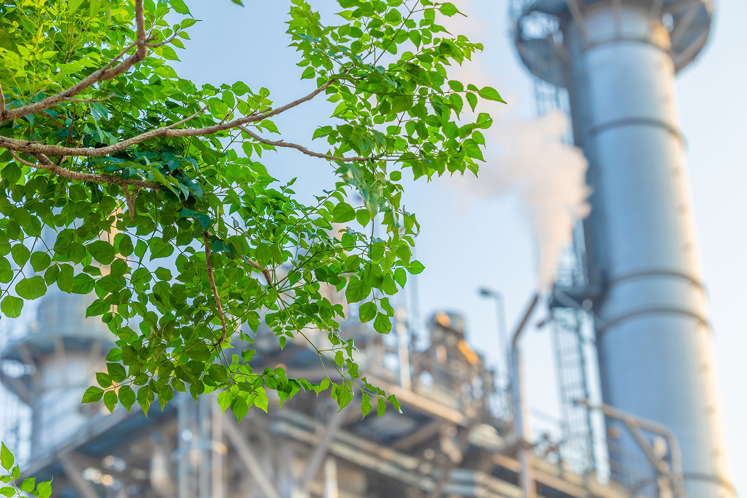 Planta captación Co2